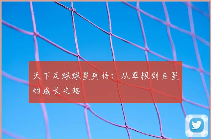 天下足球球星列传：从草根到巨星的成长之路